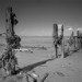 Groynes 260409